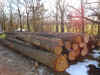 1.JPG (167284 byte)