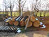 2.JPG (179118 byte)