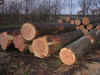 5.JPG (210310 byte)
