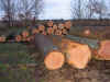 6.JPG (215394 byte)