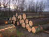 7.JPG (222711 byte)